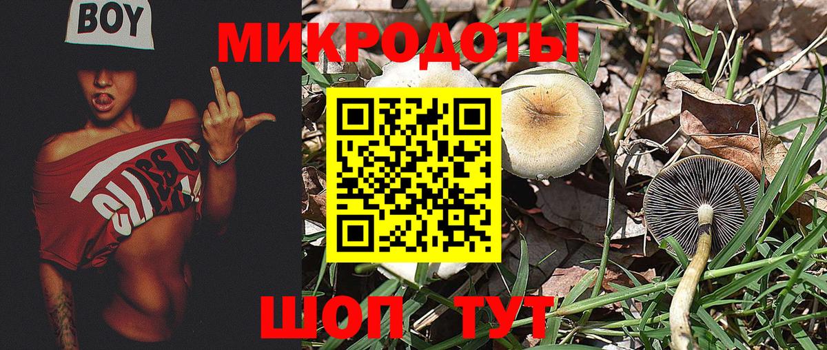 Галлюциногенные грибы ЛСД Лысьва